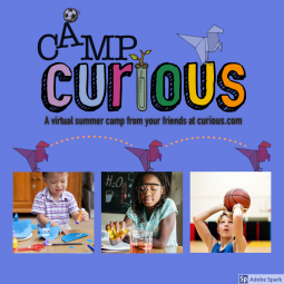 Camp Curious- A Virtual Camp that has Everything and more! Sign up today!