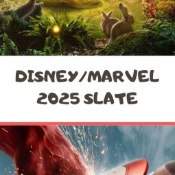 Disney Marvel Slate